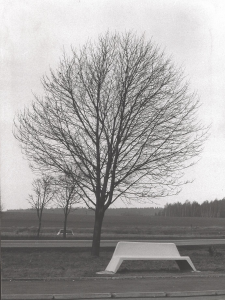 A9  2